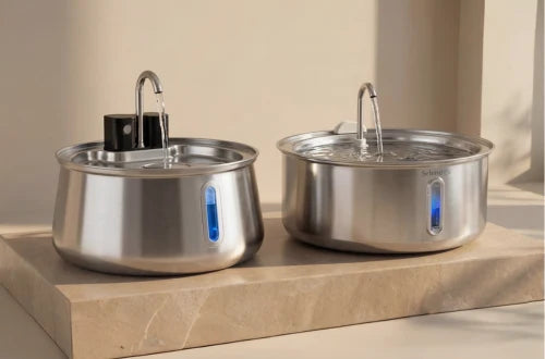 Dog water fountain feature
