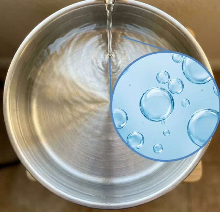 Clean dog water bowl